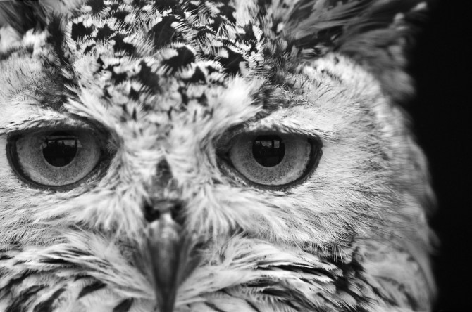 Photo Credit: George