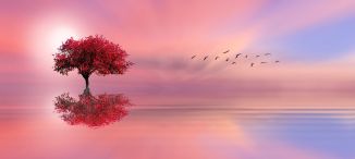 Photo Credit: Nasser Osman